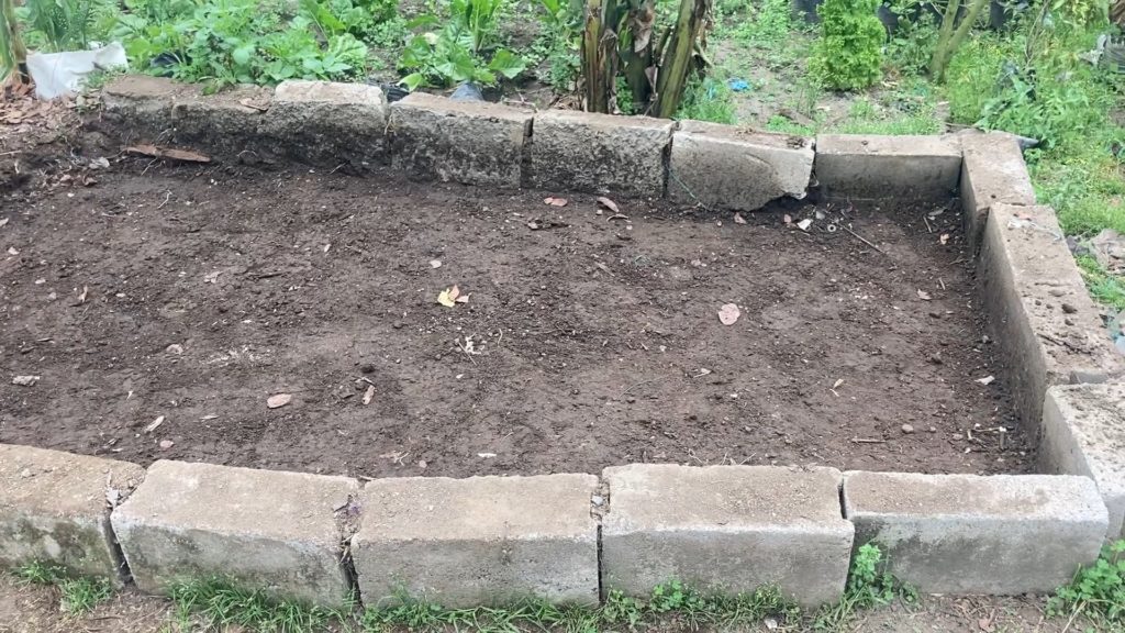 cama de lombriz al aire libre
