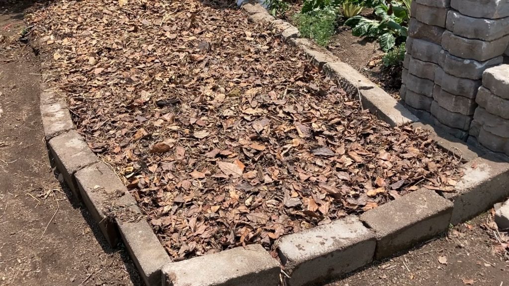 cama de lombriz al aire libre